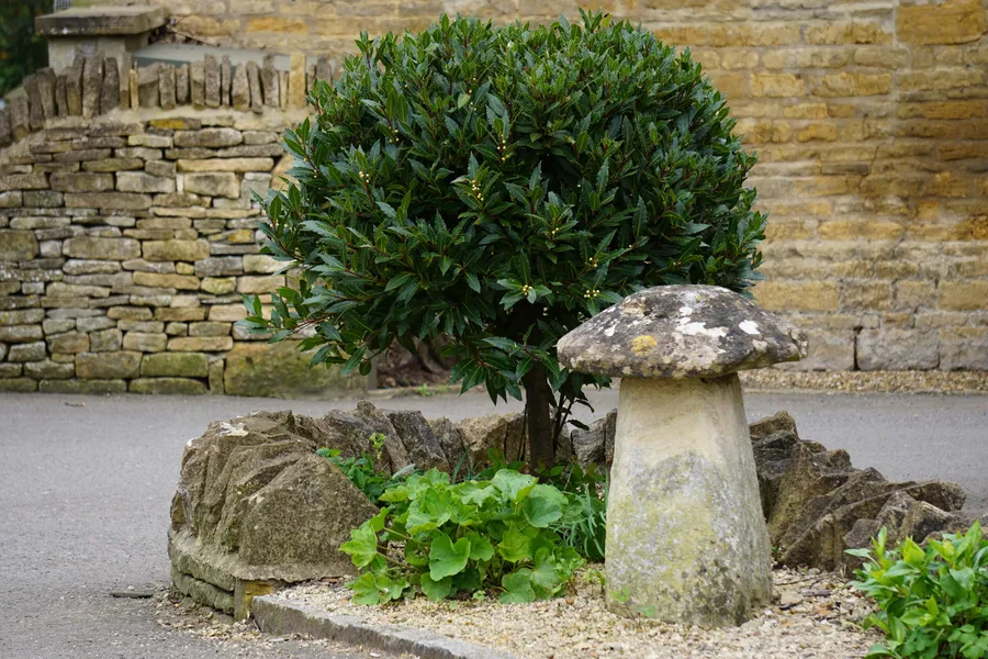 Wold & Wheel in the Northern Cotswolds