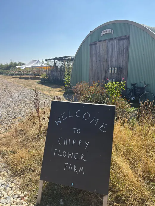Chippy Flower Farm