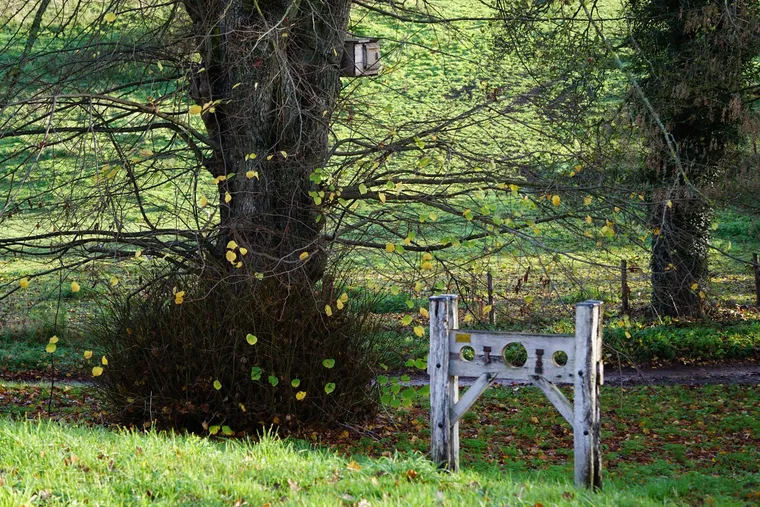 The old village stocks under a bare autumn tree on the green at Swinbrook
