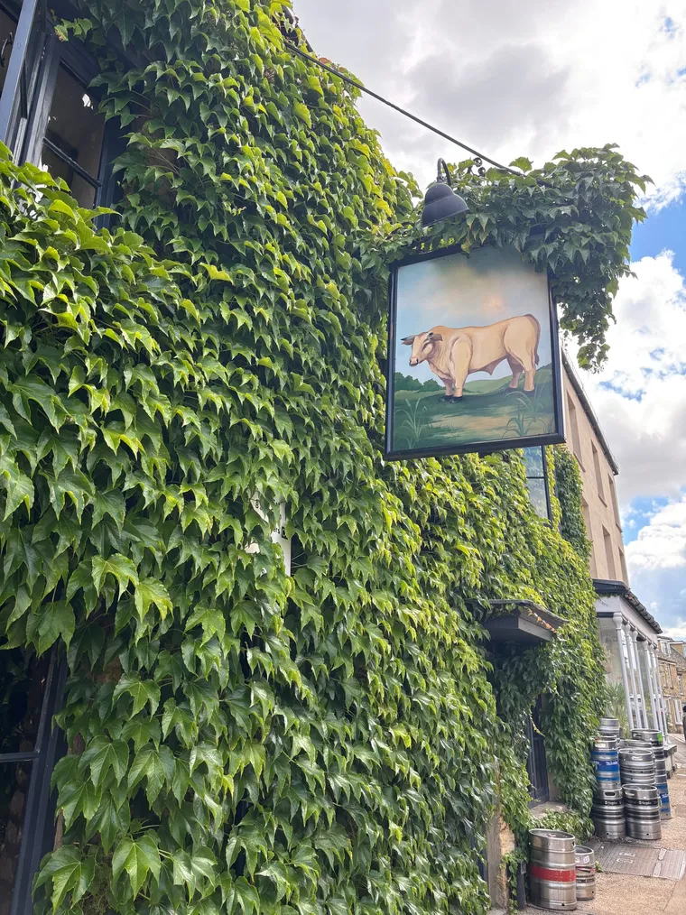 The Bull's pub sign on an ivy-clad wall in Charlbury, with beer kegs on the pavement below